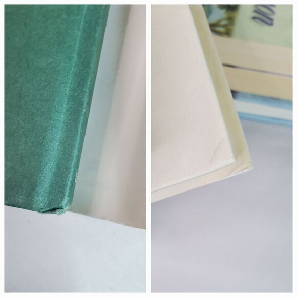 Beverly LaHaye & Terri Blackstock Season Series Mixed Lot of 4 Books PB HC - Picture 10 of 14